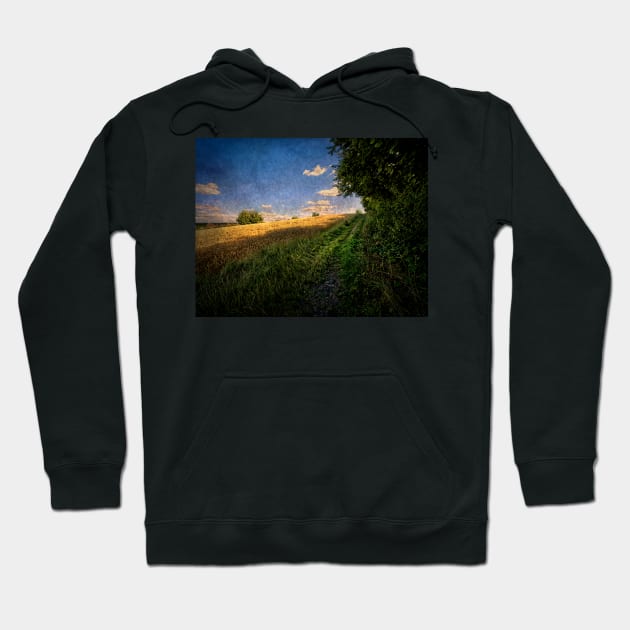 A Path By The Field Hoodie by IanWL